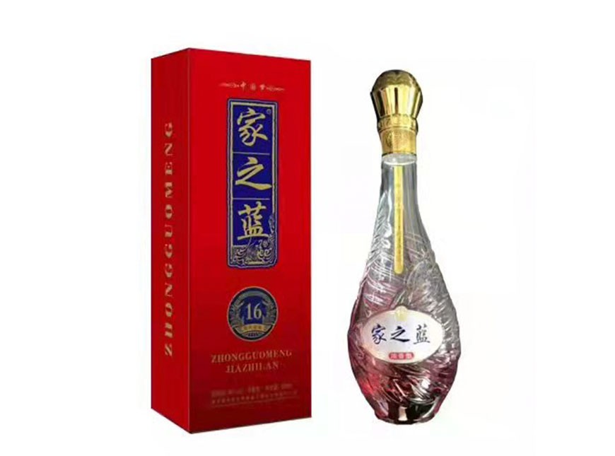 家之蓝 16